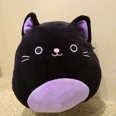 Squishmallow Autumn The Black Cat 8” Purple Halloween Rare Soft Plush Kelly