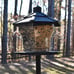 Black Plastic Hopper Cardinal Wild Bird Feeder, 6 lb. Capacity