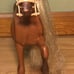Vintage 1983 Barbie High Stepper Horse