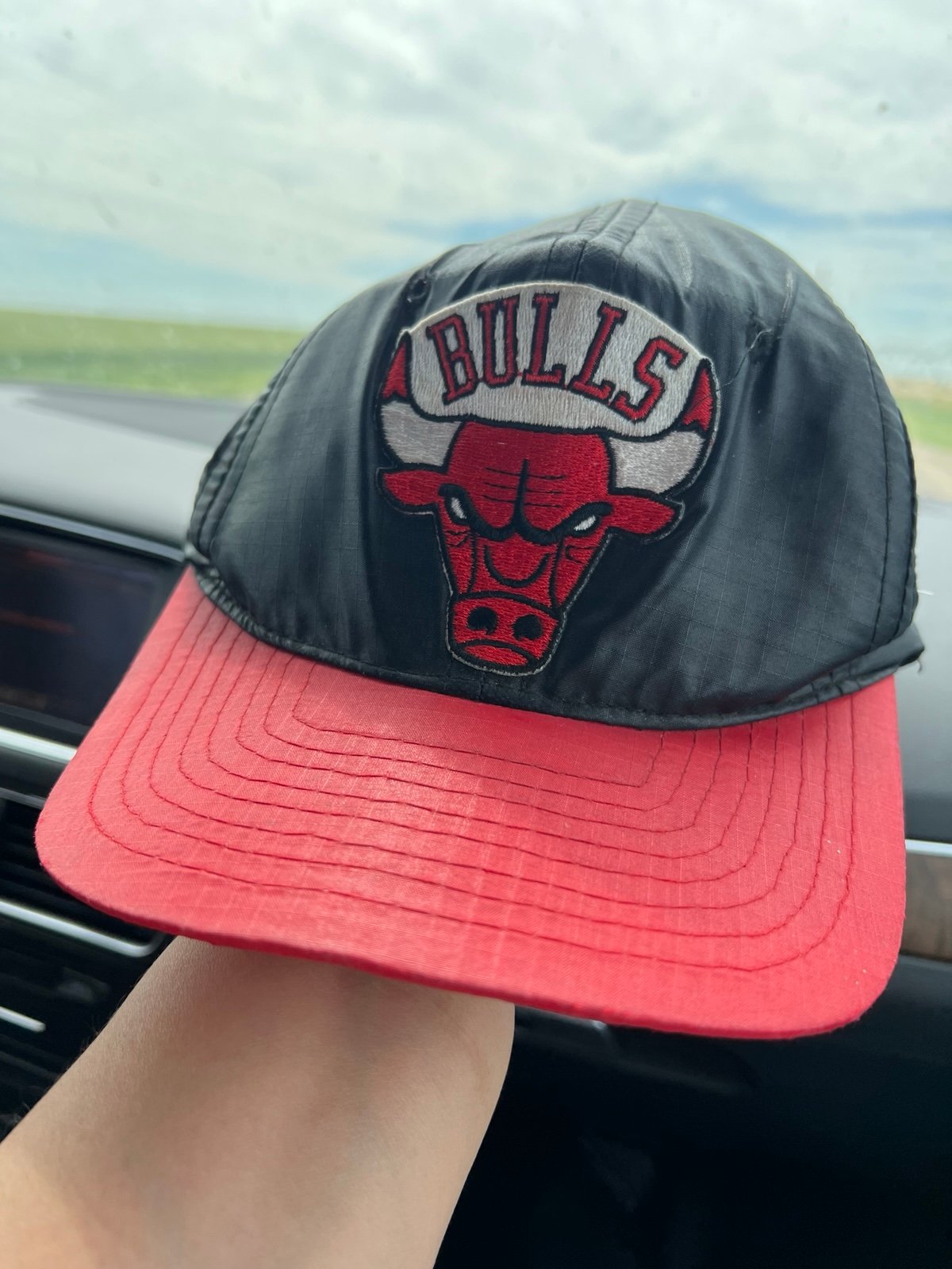 Bulls