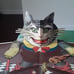 1st edition pop up Puss in Boots Book 19