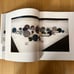 nendo PHAIDON 2016-2020