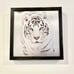 tiger hidden compartment picture