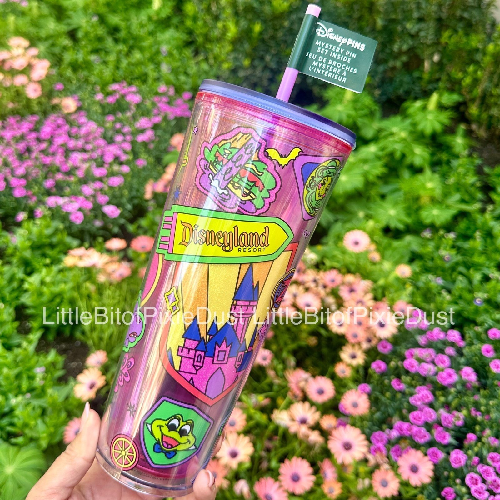 New 2025 Starbucks Disneyland Resort Tumbler with Mystery Pin