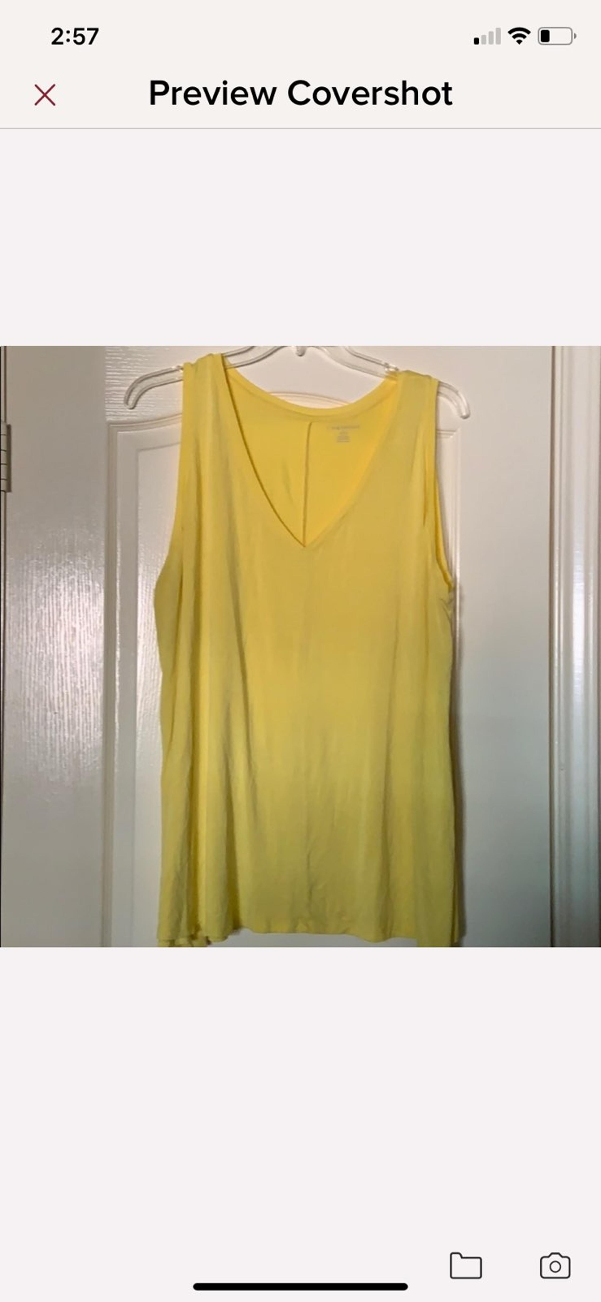 Lane Bryant V-neck Swing Tank Top 22/24