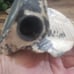 Iron fish watering spout