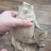 Iron fish watering spout