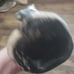 Iron fish watering spout