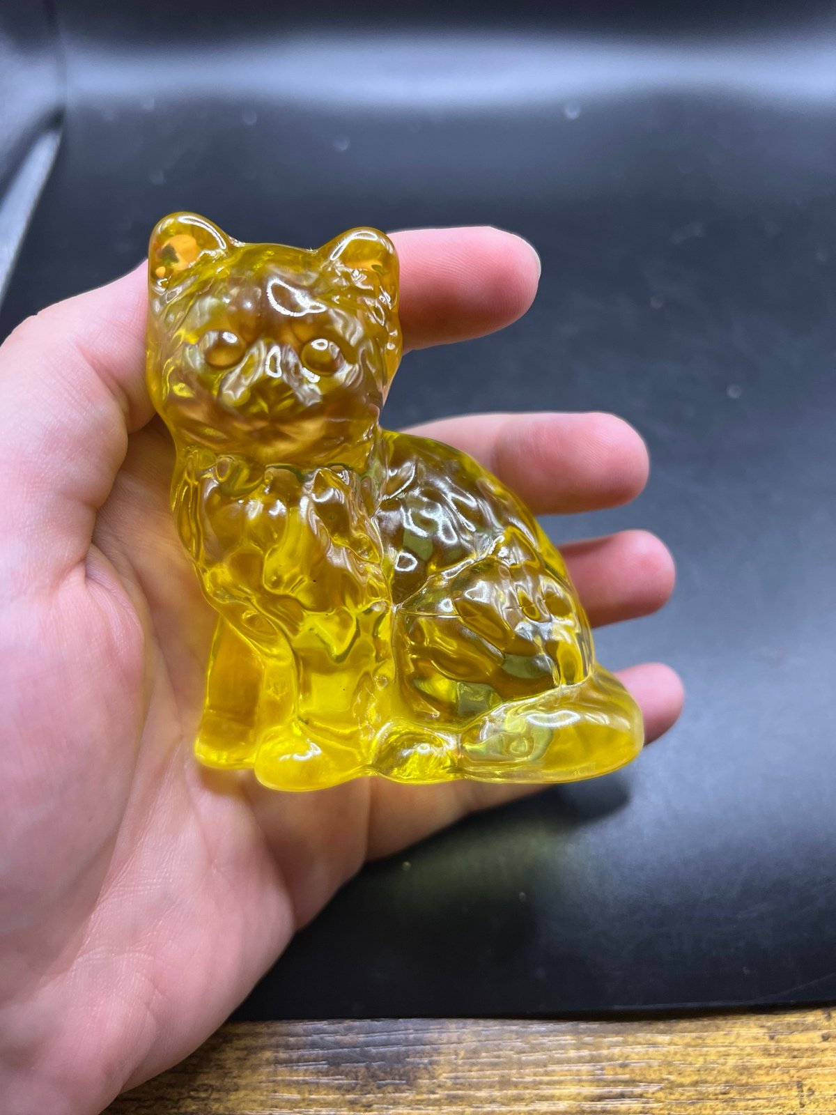 Mosser yellow cat