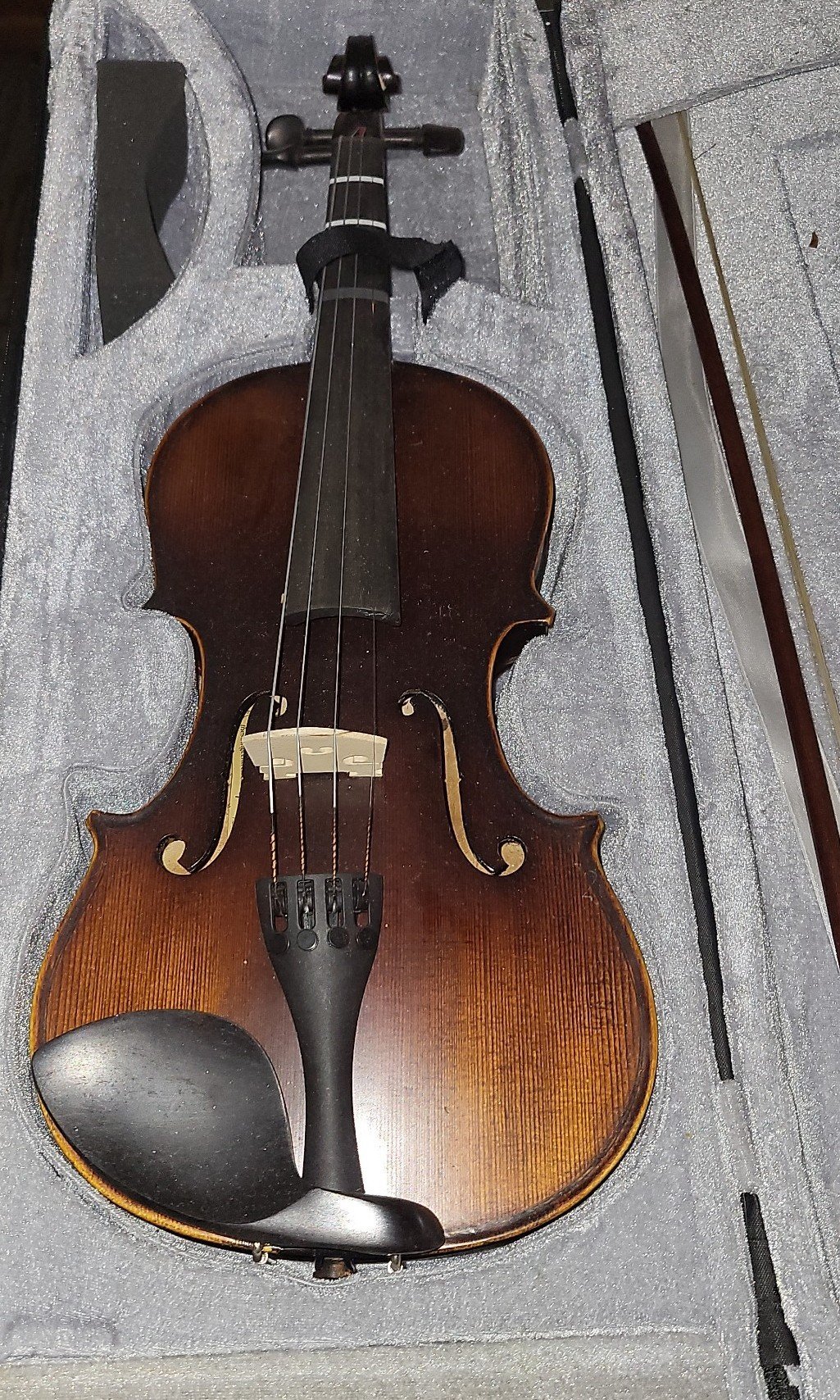 Violin