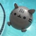 Pusheen Summer 2016 Exclusive Beach Ball