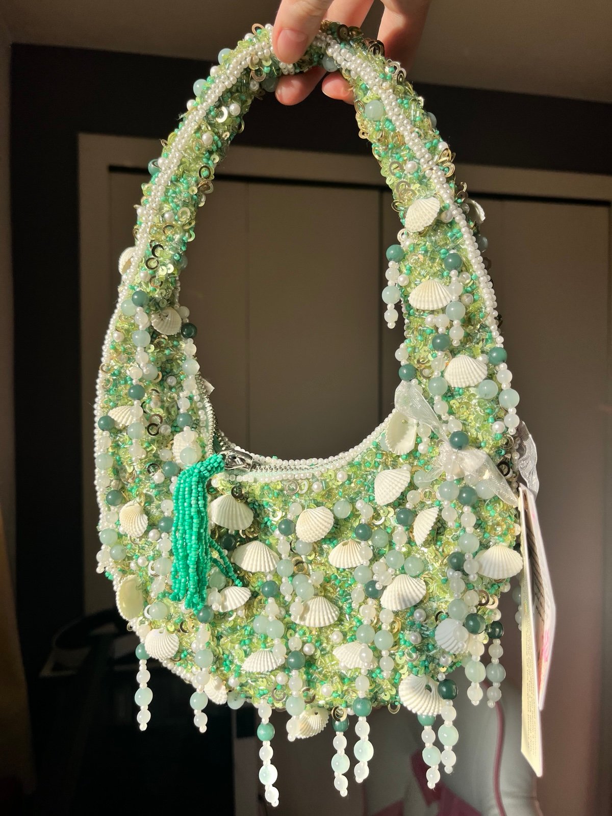 Beaded Seashell Handcrafted Viral Bag