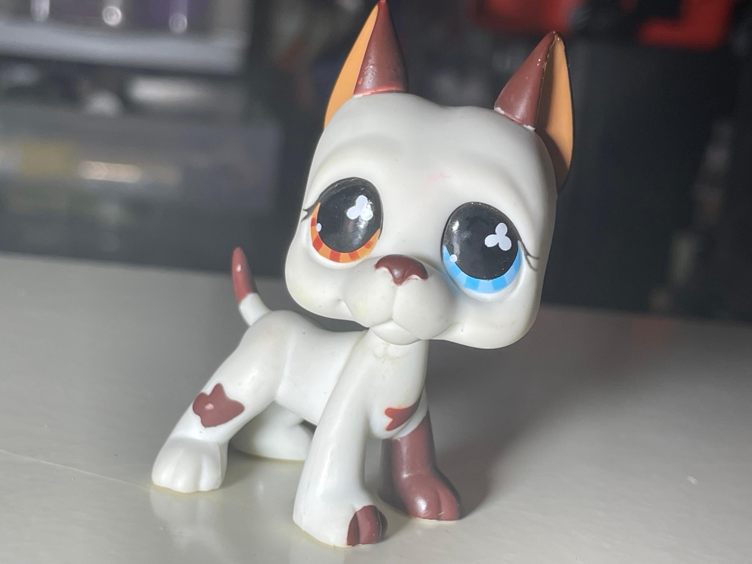 LPS #577