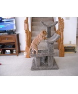 BRAND NEW TRIPLE SHELF CAT CLIMBING TREE