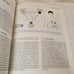 MRI from Picture to Proton By Donald W. McRobbie, Elizabeth A. Moore