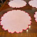 NEW HMA Decor Peony Pink Linen Placemats- Set of 4