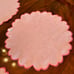 NEW HMA Decor Peony Pink Linen Placemats- Set of 4