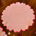 NEW HMA Decor Peony Pink Linen Placemats- Set of 4