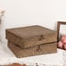 Woven Wicker Basket Bins with Lid - Set of 2 FLat Seagrass Storage Basket