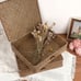 Woven Wicker Basket Bins with Lid - Set of 2 FLat Seagrass Storage Basket