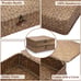 Woven Wicker Basket Bins with Lid - Set of 2 FLat Seagrass Storage Basket