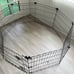Metal Exercise Pet Play Pen for Dogs, Fence Pen, No Door, Extra Small, 60 x 24