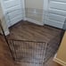 Metal Exercise Pet Play Pen for Dogs, Fence Pen, No Door, Extra Small, 60 x 24