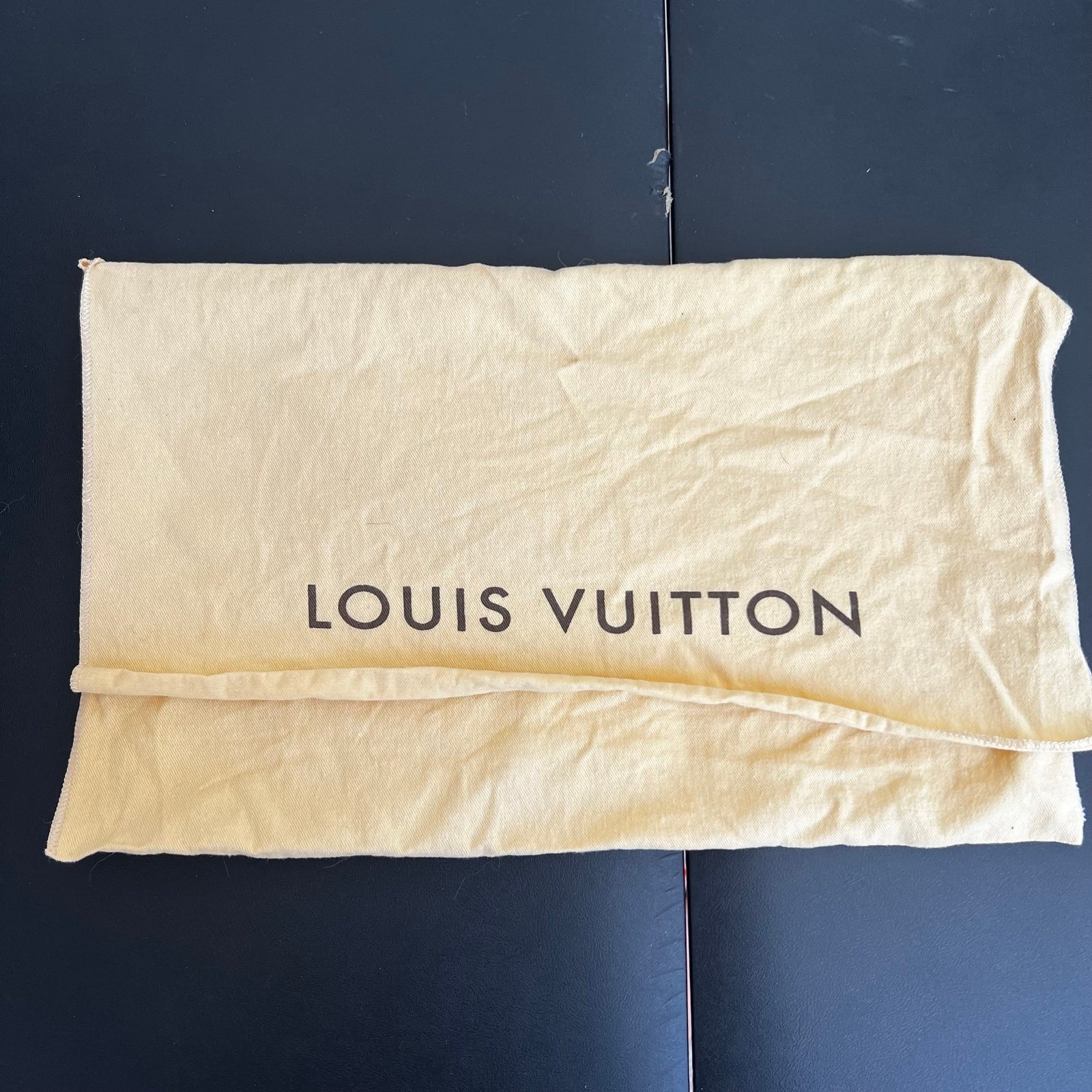 LOUIS VUITTON Medium Envelope Style Dust Bag 18.25”L x 15”H