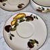 Hand Painted Mushroom Porcini King Bolete Collection Vintage Set Saucers/Lrg Cup