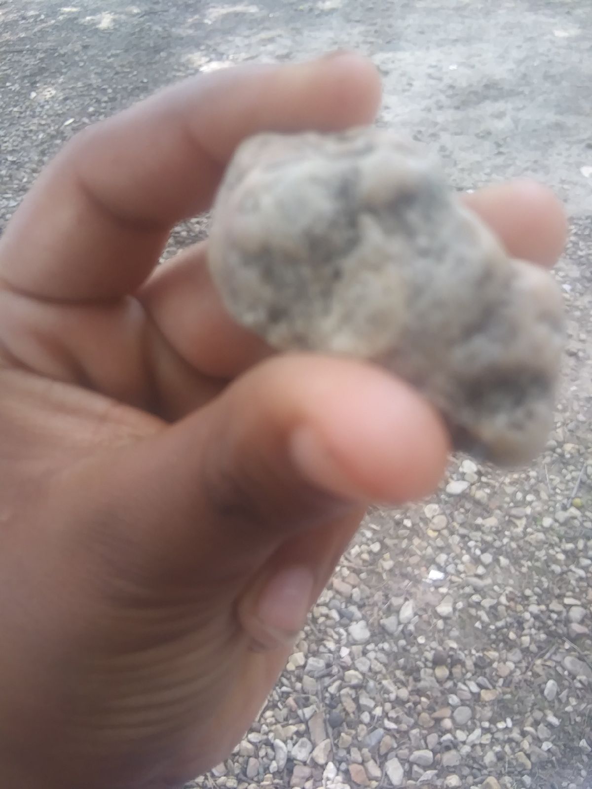 Cuban rock