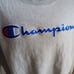 Vintage Men's Sweatshirt Large Champion Reverse Weave Spellout Embroidered Logo