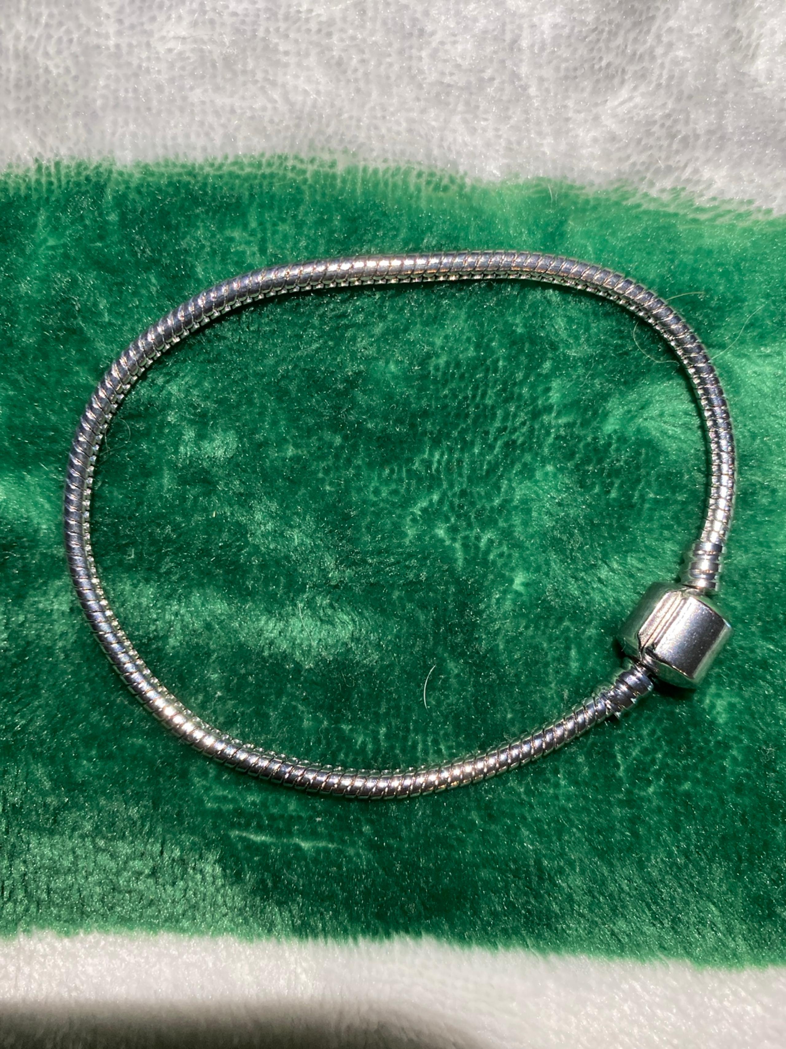 Stainless steel snake chain charm bracelet