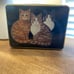 1995 Cat Trio Tin Container - Stephen Lawrence/Case Stationary.