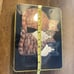 1995 Cat Trio Tin Container - Stephen Lawrence/Case Stationary.