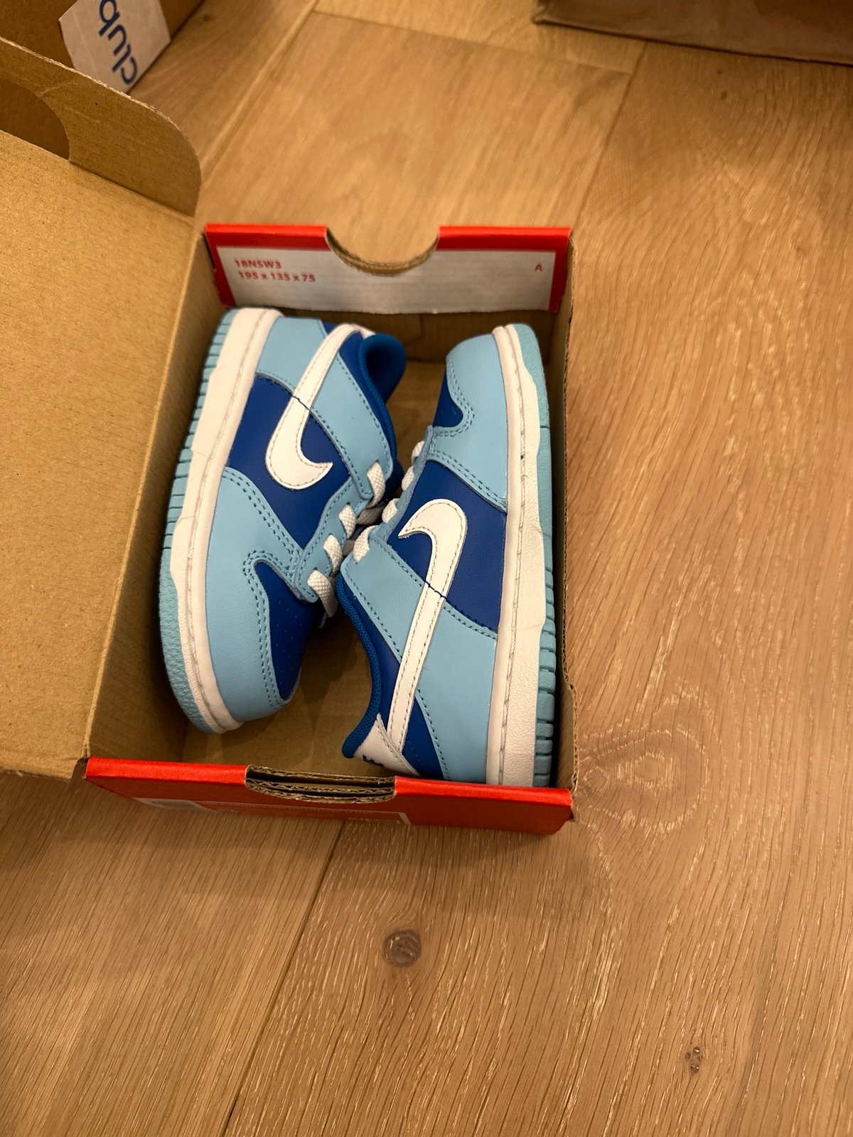 Nike toddler dunks