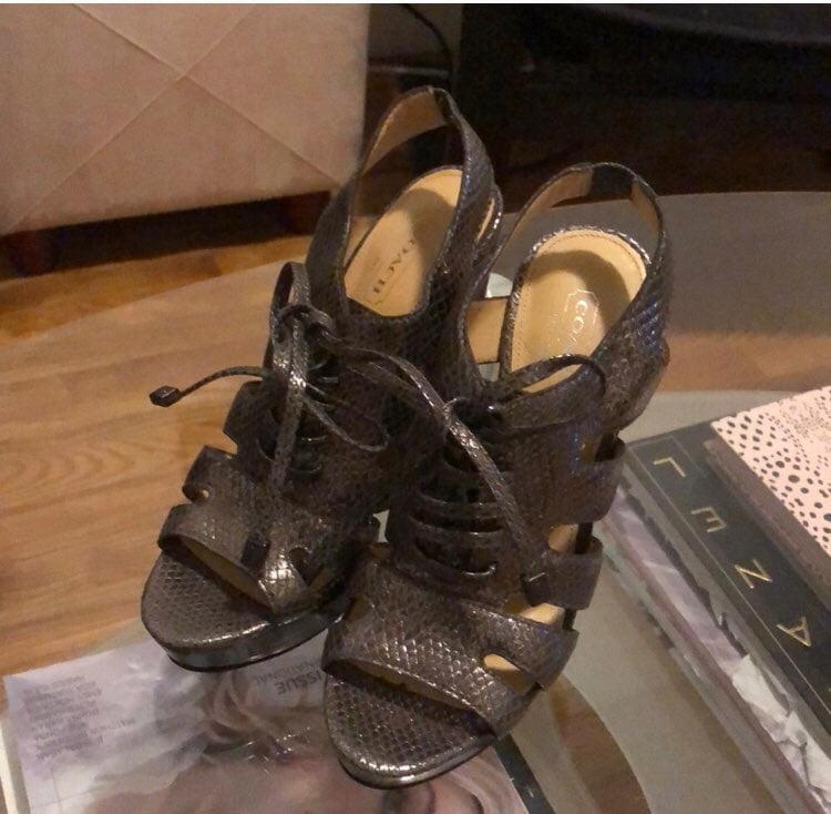 Stunning Coach Heels