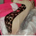 Betsey johnson vintage pin up bow tan platform vendeta heels