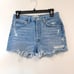 Agolde Parker Shorts Denim Distressed Festival Button Fly 24 Jeans