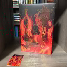 Flame & Sparrow by S.M. Gaither - Bookish