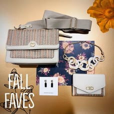 Fall Fashion Bundle Crossbody Purse Wallet Necklace Banana Republic Onyx Earring