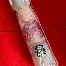 Korean Starbucks Sakura Cherry Blossom Folding Umbrella New