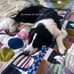 Anthropologie Camaraderie Quilt