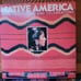 Native America: Arts, Traditions, And Celebrations By Mather, Christine HARDCOVE