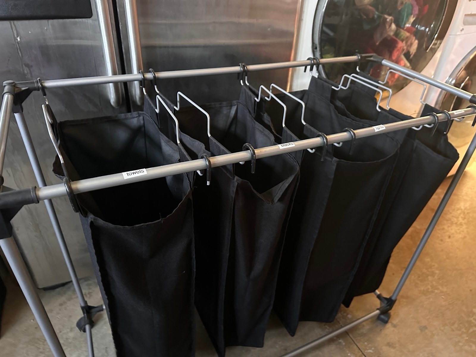 Laundry sorter