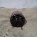 220 volt 20 amp general purpose electric motor