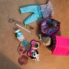 American Girl Dogs and acessories