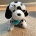 American Girl Dogs and acessories