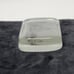Antique Glass Paperweight World Fair Columbian Exposition 1893 Michigan State