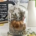 Bath & Body Works PUMPKIN CLOCHE wallflower Plug