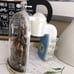Bath & Body Works PUMPKIN CLOCHE wallflower Plug